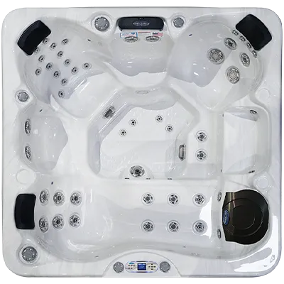 Avalon EC-849L hot tubs for sale in Alpharetta